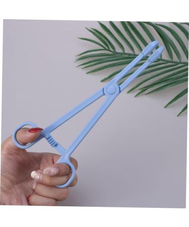 Beavorty 1pc Lizards Pet Cleaning Supplies Pet Stool Clamp Reptile Stool Clamp Animal Stool Crawl Hamster Size 1 As Shown - Buy Online on GoSupps.com