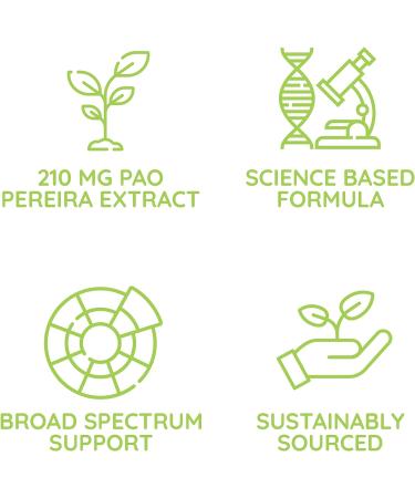 Pao V FM - Natural Cellular Defense Supplement - 100 Capsules | Beljanski Products - Buy Online on GoSupps.com