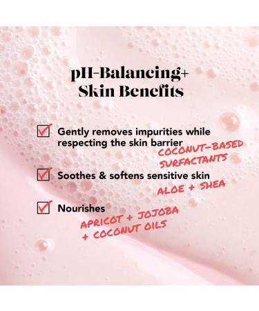 SweetSpot Labs pH Balanced Wash for Sensitive Skin | Sulfate-Free & Clean Body Wash | Gynecologist Tested & Approved | Unscented | 8 oz - Buy Online on GoSupps.com