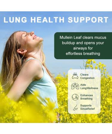 NutraNourish Mullein Gummies for Lung Detox 1000mg Mullein Leaf Herb Extract for Respiratory & Digestive & Immune Support Vegan Pear Flavor - Buy Online on GoSupps.com