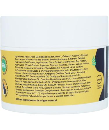  Planeta Huerto Moisturizing mask Curly Planeta vegetable garden method 200 ml - Buy Online on GoSupps.com