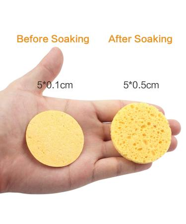 Yangfei 60 Pieces Face Washing Sponge - Soft Facial Sponges for Makeup Remover & Cleansing - Gentle Skin Care - Buy Online on GoSupps.com