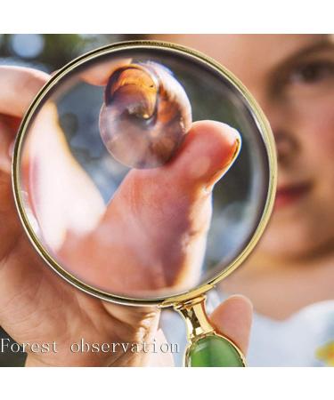 Magnifiers for Craft Work Reading Magnifier 10 Times The Magnifying Glass Imitation Jade Hand-held Magnifying Glass to Read Old Child Observation Optical Magnifier Magnifying Glass Vision - Buy Online on GoSupps.com