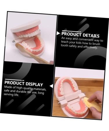 Shop Minkissy 3 Sets Early Dental Education Toys - Preschool Toiletries Puzzle & Abs Reusable | International Shipping Available - Buy Online on GoSupps.com