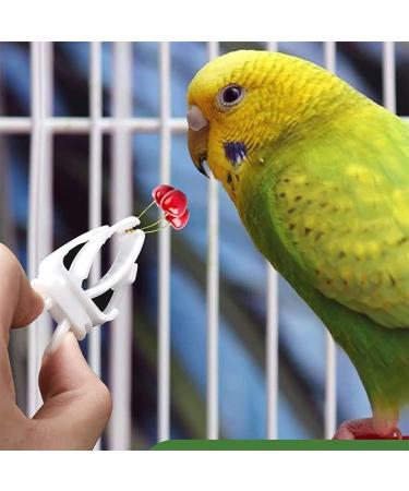 4 PCS Bird Fruit Feeder Cuttlefish Clip Bird Cage Seed Feeder Birds Food Holder Stainless Steel Bird Feeder for Bird Hamster Cockatiel Parrot - Buy Online on GoSupps.com