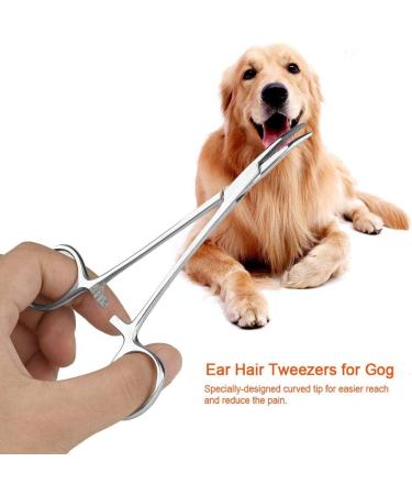 Redxiao Pet Dog Trimmer Accessories Ear Hair Tweezers Pet Grooming Scissors Tweezers Ears Grooming Kit Curved Tip Cleaning Clamp Stainless Steel for Nose/Ear Hair for Dogs and Cats(small) - Buy Online on GoSupps.com