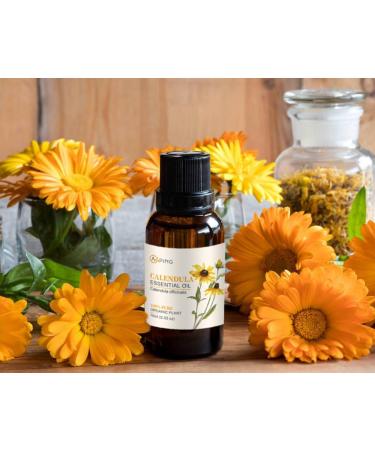 2-PACK Calendula Essential Oil - 100% Pure Organic Natural Plant (Calendula officinalis) Calendula Oil for Diffuser Aroma Spa Massage Yoga Perfume Body - 2x10ML - Buy Online on GoSupps.com