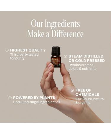 Cliganic Sleep Surrender Organic Essential Oil Blend 0.51 Fl Oz Carefully Crafted with Vetiver Lavender Frankincense Clary Sage Ylang Ylang Marjoram & Spearmint Calming Aromatherapy Oil - Buy Online on GoSupps.com