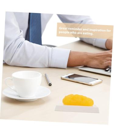 Gatuida Anatomical Fat 4pcs Fat Model Models Human Body Fat Plastic Body Fat Human Fat 1 Pound Demonstration Device Module - Buy Online on GoSupps.com