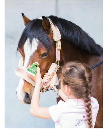 AUDEVARD BONUTRON Senior 17 Plus 1.5 kg (NDR) - Buy Online on GoSupps.com