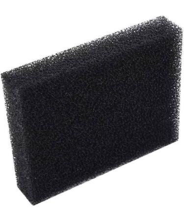 Makeup Brush Cleaner Sponge Box - Transparent Remover & Cleaning Mat for Powder Brushes | Essential Makeup Tool - Buy Online on GoSupps.com