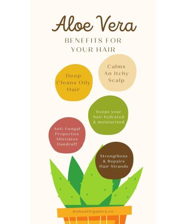 Shea Organics Soothing Scalp Oil - Dandruff Relief & Itchy Scalp Serum | Dry Scalp & Baby Eczema Treatment | 1oz with Oat Oil Vitamin E Honey & Tea Tree - Buy Online on GoSupps.com