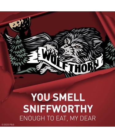 Old Spice Wild Collection Wolfthorn Deodorant 2.6 Ounce (Pack of 2) - Long-lasting Protection - Buy Online on GoSupps.com