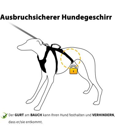 Buy Huntboo Dog Safety Dishes - Reflective Break-Away Harness & Adjustable Vest for Small Dogs (Pink Size S) - Perfect for Walking & Training - Buy Online on GoSupps.com