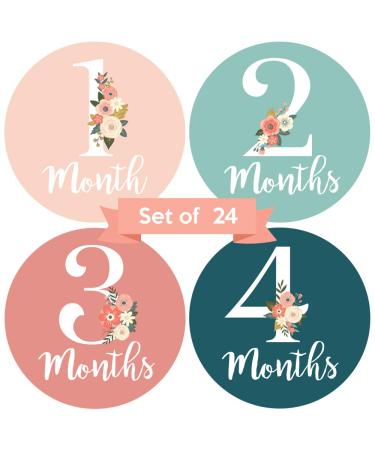 Baby Monthly Stickers | Floral Baby Milestone Stickers | Newborn Girl Stickers | Month Stickers for Baby Girl | Baby Girl Stickers | Newborn Monthly Milestone Stickers (Set of 24)