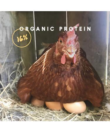 Non-GMO Manna Pro Layer Pellets - Organic High Protein Feed for Chickens - Buy Online on GoSupps.com