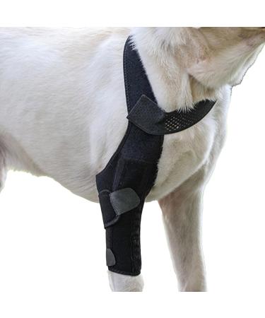 Hip Brace for Dogs | Dog Leg Protector Back Leg Hip Support with Metal Strip High Elasticity Breathable Leg Protector for Recovery Period Jiahua Black Medium - Buy Online on GoSupps.com