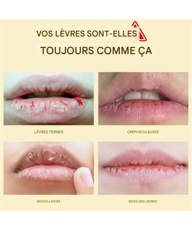 Rouge L vres Changeant de Couleur Brillant L vres Longue Tenue Changement de Couleur 3 Pi ces de Produit de Maquillage pour Hydratant et Anti Trace pour les Femmes au - Buy Online on GoSupps.com