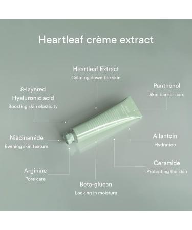 Abib Heartleaf Creme Calming Tube - Soothing Moisturizer for Dryness | 2.54 Fl Oz - Hydrating Skin Care - International Shipping Available - Buy Online on GoSupps.com