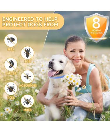Repellent Collars for Dogs Repellent Collar for Dogs Adjustable Water Resistant repellent Collar Dog Natural Dog repellent Collars for Puppies Small Medium Large Dogs Blue 2pack - Buy Online on GoSupps.com