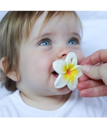 Bijtspeltje Chewy to Go - Hawaii Bloem | International Shipping | Best Quality for Toddlers - Buy Online on GoSupps.com