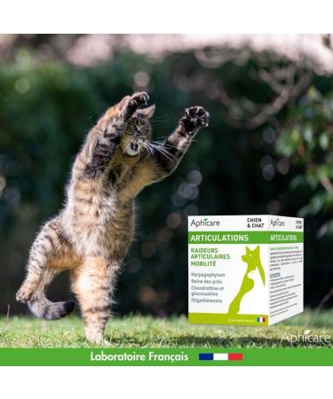 Aphicare - Joint - Flexibility and mobility - Powder 100 GR -Harpagophytum - Chondroitin - Glucosamine - Made in France - Buy Online on GoSupps.com