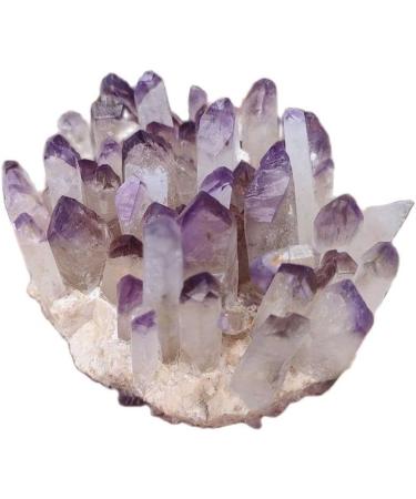 Amethyst Crystals 1pcs Purple Quartz Crystal Cluster Crystal Specimen Amethyst Cluster JIZTGEDM (Size : 300-400g) - Buy Online on GoSupps.com