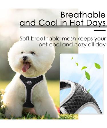 Thinkpet No-Pull Dog Harness | Breathable & Adjustable Soft Running Harness for Small Medium & Large Dogs | Padded Reflective Safety Harness (Black) - Buy Online on GoSupps.com