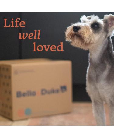 Bella & Duke Venison Dog Snack - Natural Dental Stick Alternative - Grain-free, High Protein, Hypoallergenic Chew for Cleaner Teeth and Plaque Prevention - Buy Online on GoSupps.com