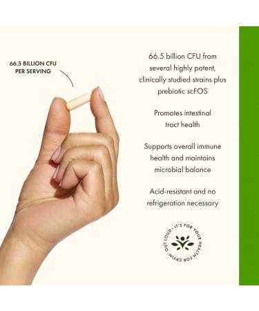 Swanson Ultimate Probiotic Formula Digestive Health Immune System Support 66 Billion CFU Prebiotic NutraFlora scFOS 30 DRcaps Veggie Capsules (Caps) - Buy Online on GoSupps.com