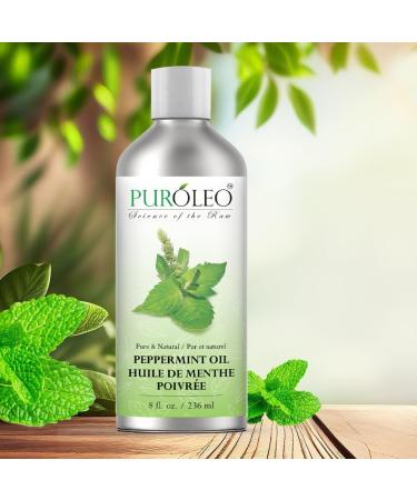 PUROLEO Peppermint Essential Oil (Packed in Canada) Pure Natural Undiluted for Aromatherapy (8 Fl Oz) 8 Fl Oz (Pack of 1) - Buy Online on GoSupps.com
