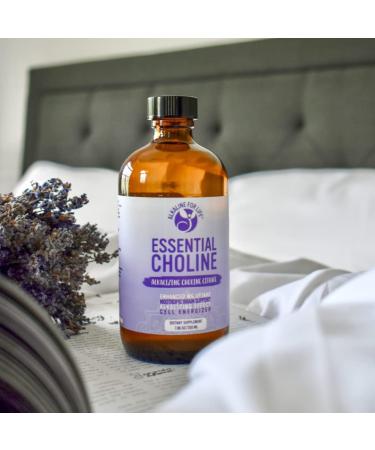 Essential Choline Citrate - Liquid Choline Supplements for Brain Memory Focus - 650Mg Choline Supplement - Bioavailable Alkalinizing Liquid Choline Enhances Magnesium Supplementation - Buy Online on GoSupps.com