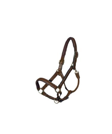 MiraQuine Leather Halter (WB/Full Light Brown) WB/ Full Light Brown