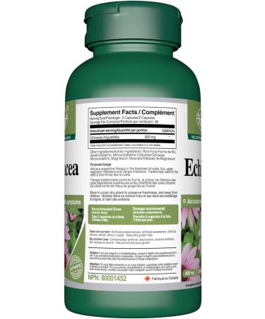 VORST Echinacea 800mg Per Serving (400mg Per Capsule) With 5:1 Extract Ratio (4000mg Raw Extract Equivalent) 3 X 120 Capsules | Anti Inflammatory for Common Cold & Flu Immune System Supplement Support | Extra Strength | Alternative to Tincture /Liquid/Dro - Buy Online on GoSupps.com