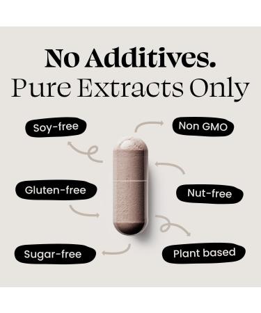 Optimal Prime 10x Mushroom Complex Supplement - Lions Mane Cordyceps Turkey Tail for Immunity Energy Mood Focus - Natural Health Booster 90 Caps - Buy Online on GoSupps.com