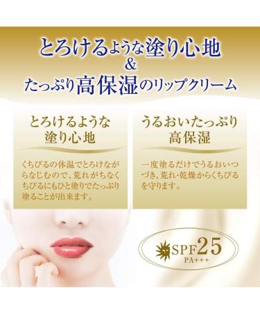 Rotho Mentholatum Melty Cream Lip Hydrating Balm Rich Honey SPF25 P+++ 2.4g Made in Japan by Ametsus - Buy Online on GoSupps.com