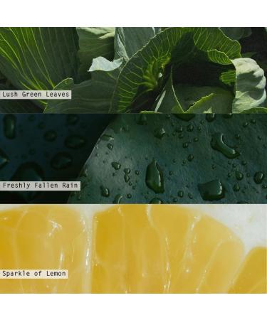 Hidden Lake Scented Candle Refill | Beautifully Done Essentials - International Shipping - Buy Online on GoSupps.com