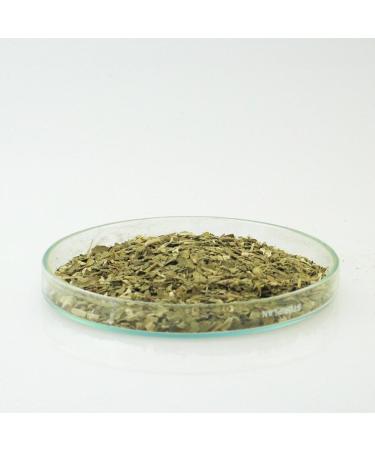 Playadito Yerba Mate Herbal Blend Tea (500g) - South American Flavor | Pack of 1 - Buy Online on GoSupps.com