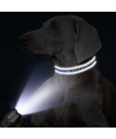 Tagme Personalized Reflective Dog Collar for Medium Dogs - Embroidered with Name & Phone Number Royal Blue 1 Pack - Buy Online on GoSupps.com