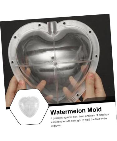 Artibetter Fruit Vegetables Vegetable Mould Shaping Mold Vegetable Growth Mould Cooking Utensils Moss Cucumber 17x17cm Transparent - Buy Online on GoSupps.com