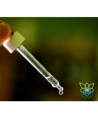 Buy Vitaragna Vitamin K2 Forte Drops - High-Dose K1 & K2 Complex in MCT Oil | 20ml | International Shipping Available - Buy Online on GoSupps.com