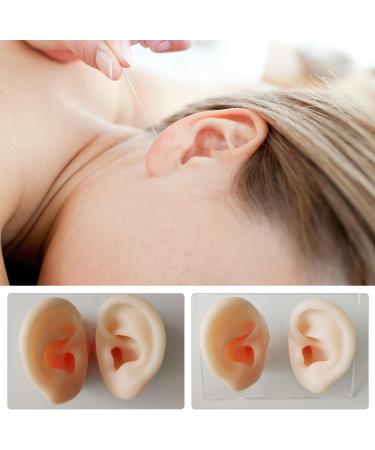 Silicone Ear Models - Practice Acupuncture and Medical Training - Buy Online on GoSupps.com