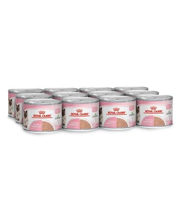 Royal Canin Mother & Babycat Mousse | 12 x 195 g | Complete Food for Cats | Especially for the Mother Cat and Her Puppies | To Support the Body's Defense