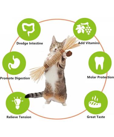 Tuibeidamai Matatabi Cat Toys - 6PC Catnip Dental Chew Sticks for Healthy Teeth & Fun Biting - Buy Online on GoSupps.com