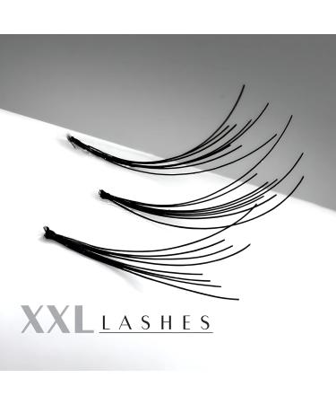 XXL Lashes 300 Flare Lashes - Volume Eyelash Extensions in Jewelry Box | Sizes 8 10 12 mm - Buy Online on GoSupps.com