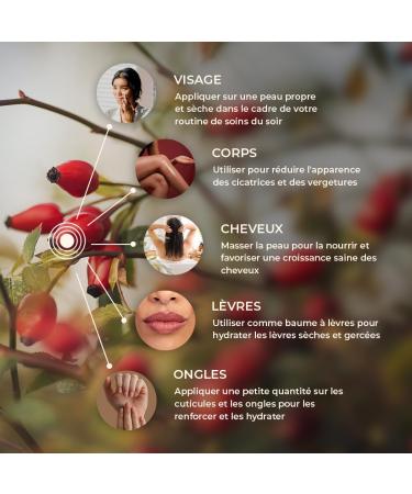 GoNaturals Rosehip Oil - 50ml - 100% Pure and Cold Pressed - Vegan and Cruelty Free - Unscented - Rosehip Oil: Anti Aging Skin Hair Scars and Stretch Marks - Buy Online on GoSupps.com