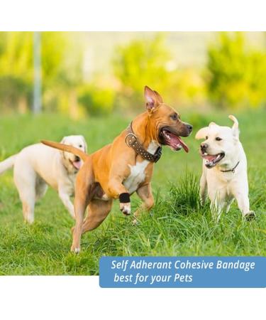 12 Pack 2 x 5 Yards Black Self Adhesive Bandage Wrap for Sports First Aid - Breathable, Cohesive, Elastic Bandage for Wrist and Ankle - Buy Online on GoSupps.com