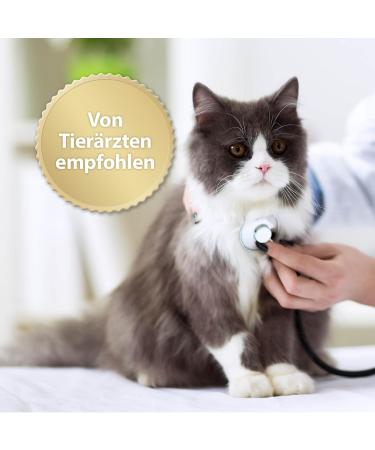 Felisept Family Comfort Refill 3x45ml | Natural Relaxation Agents for Multi-Cat Households | Sedative for Cats with Catnip - International Shipping Available - Buy Online on GoSupps.com