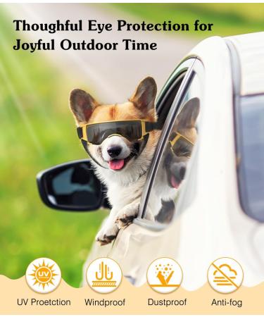 Lewondr UV Safety Sunglasses for Dogs | Windproof Waterproof & Adjustable Glasses for Small Dogs - Black & Gold - Buy Online on GoSupps.com