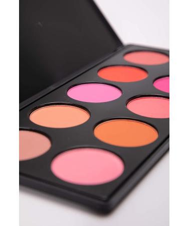 EpiLynx by Dr. Liia 10 Color Blush Palette - Pink & Neutral Colors - Gluten Free & Vegan for Sensitive Skin - 1 Count - Buy Online on GoSupps.com